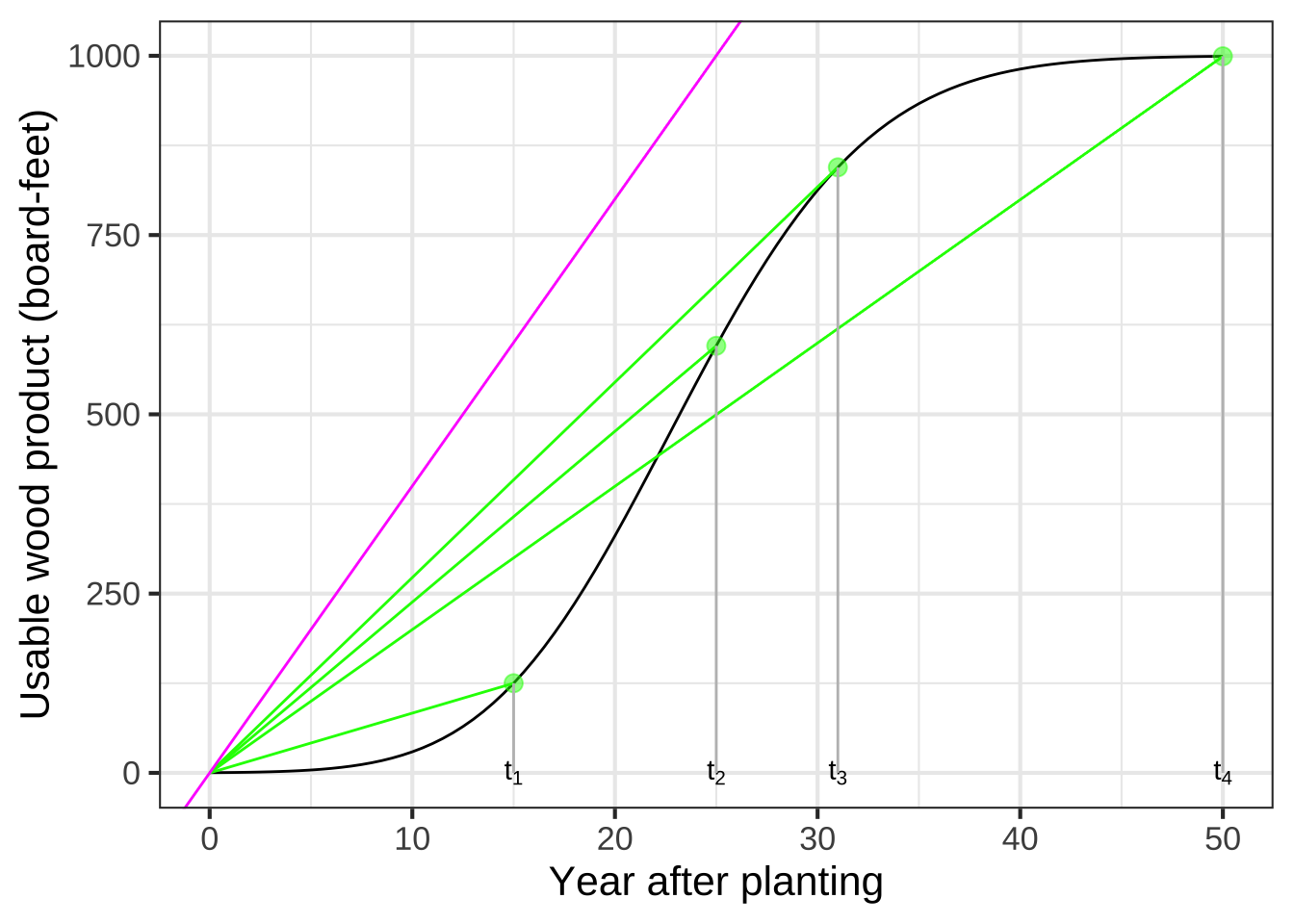 Modeling the tree-growth model with straight lines connecting planting time to various harvest times. The slope of each line is the average rate of growth for that planting time.